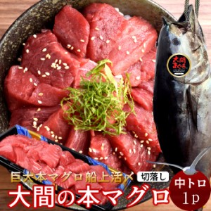 大間マグロ 切り落とし 訳あり［中トロ］200g |青森県大間産 大間のまぐろ 本マグロ 刺身 規格外 切り落し［秋の味覚 ギフト］