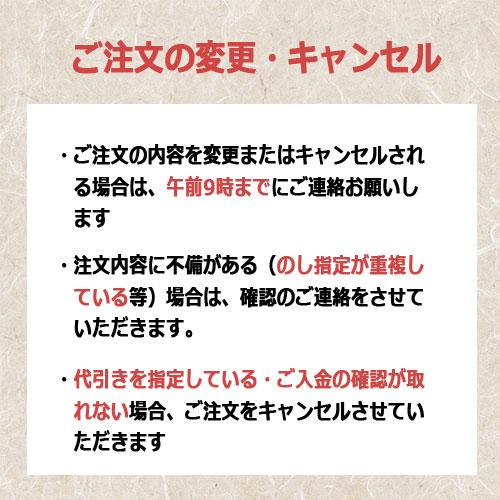 御歳暮 河京 喜多方ラーメンこだわり具材ギフト常温 KG-619