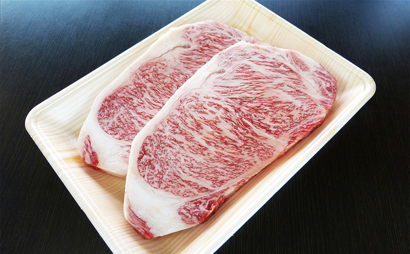 牛肉 飛騨牛 サーロイン ステーキ セット 600ｇ （ 1枚 約300ｇ × 2枚 ） 黒毛和牛 Ａ5 美味しい お肉 牛 肉 和牛 サーロインステーキ 