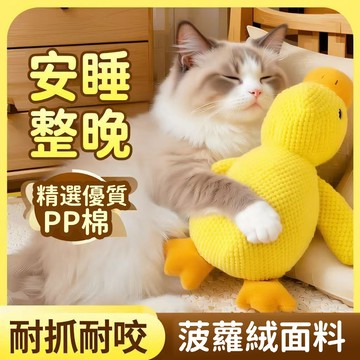 【台灣熱銷】貓咪玩具 仿真鴨玩具 貓咪毛絨玩具 貓薄荷玩具 吸貓玩具 貓咪自嗨解悶神器 貓咪陪睡抱枕 逗貓玩具 貓咪用品
