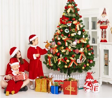 聖誕樹 雙十一特價 免運 可開發票 聖誕樹 聖誕提前購有優惠 聖誕樹客廳家用套餐diy髮光大型擺件2025新款高級感ins聖誕節裝飾