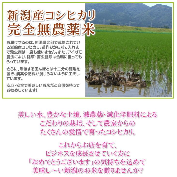 開店祝い 花以外 開業祝い お米 2kg 農薬不使用 希少米 コシヒカリ 無洗米 お返し 人気 産地直送 おしゃれ プレゼント 送料無料