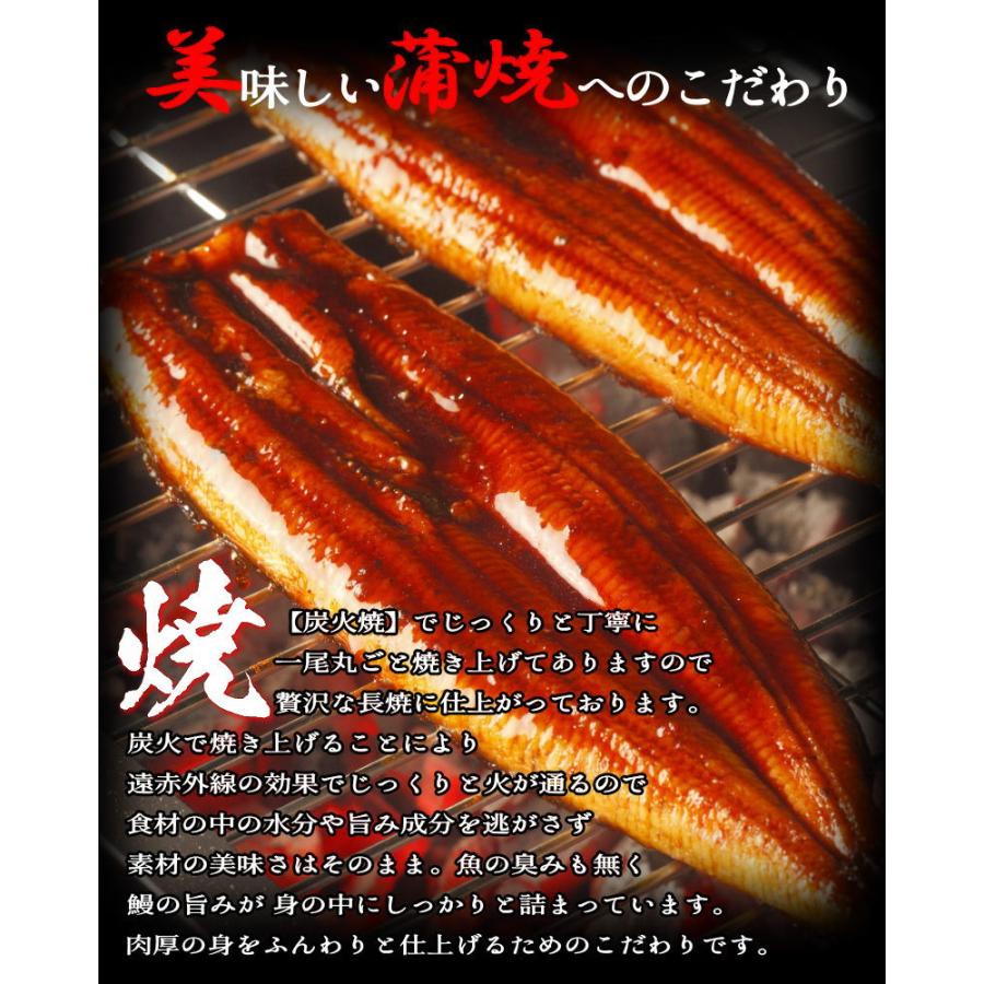 うなぎ 蒲焼き　250gの特大サイズ  ウナギ うなぎ ギフト　２尾購入で１尾おまけ付き　送料無料・うなぎ蒲焼・