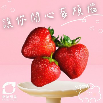 12月射手座生日禮【微笑甜果】紐西蘭草莓禮盒｜紐西蘭草莓・進口草莓・草莓禮盒