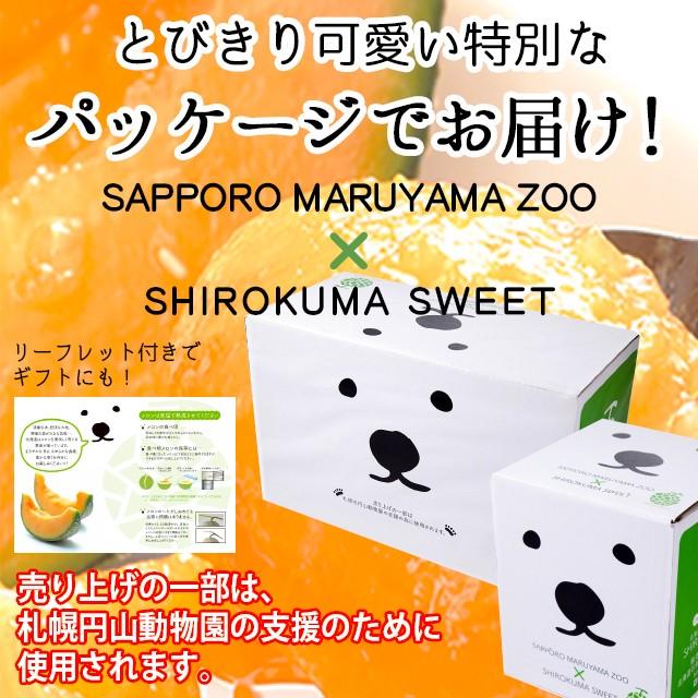 2024年 予約 メロン お中元 ギフト 送料無料 SHIROKUMA SWEET 北海道産 赤肉メロン 1玉入(約1.6kg 大玉 Lサイズ)   フルーツ