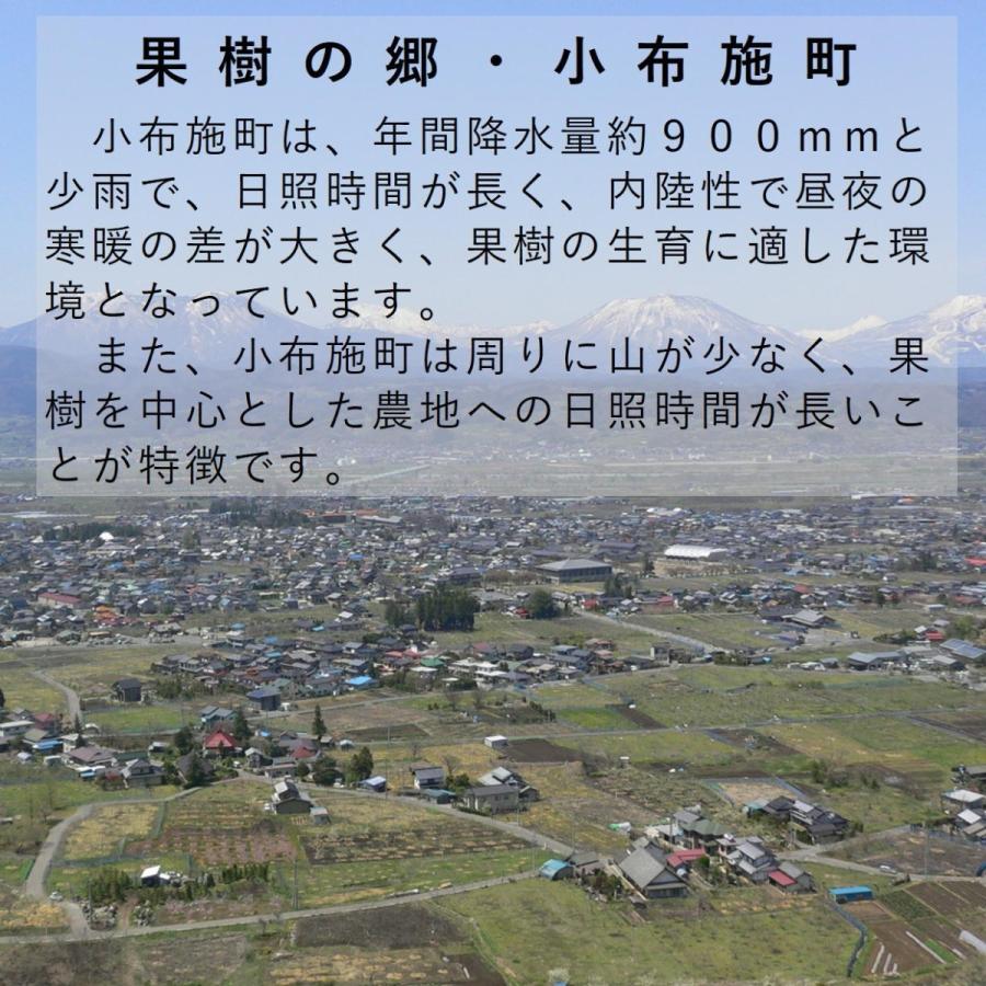 りんご グラニースミス 約4.8kg（12〜23玉）   常温便・送料無料 長野県産地直送 5kg箱