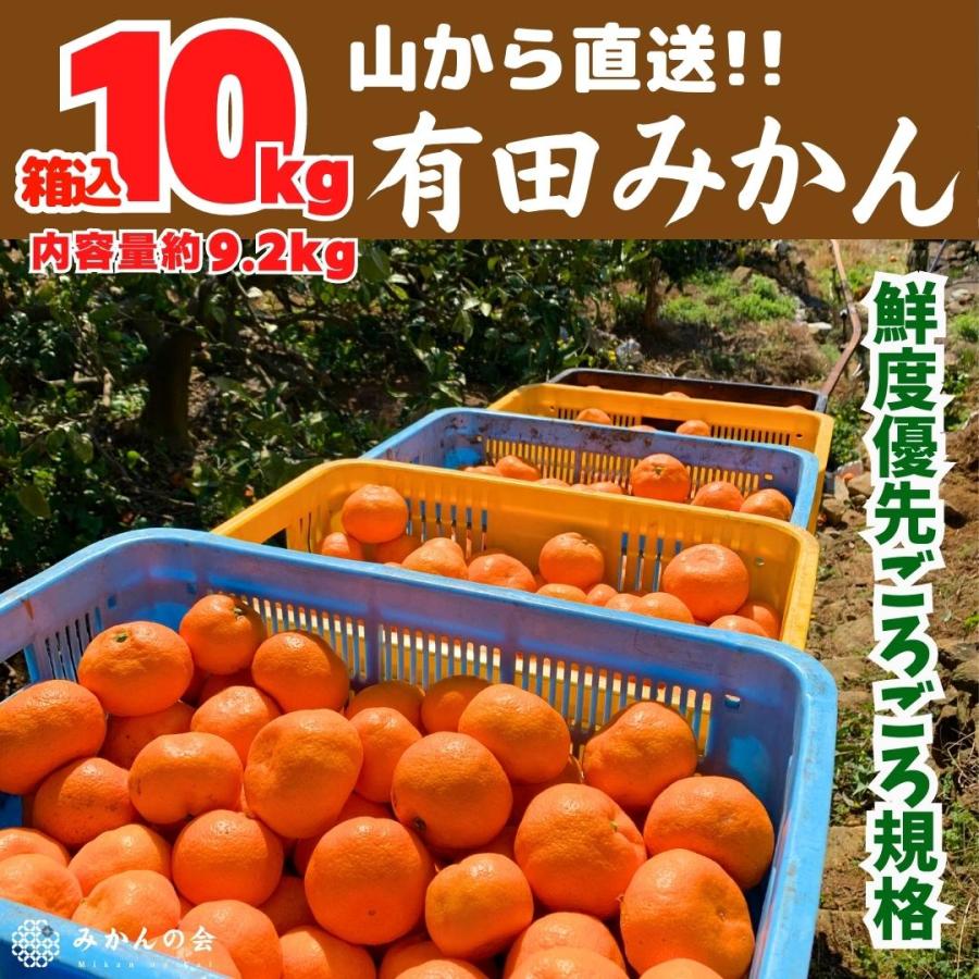 みかん 山から直送 箱込 10kg 内容量 9.2kg 鮮度優先ごろごろ規格 和歌山県産 産地直送 家庭用