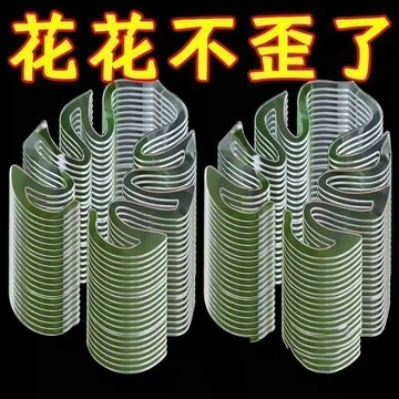 🥇龜背竹支撐杆花支撐架枝幹收攏架植物防倒伏支架綠植固定神器