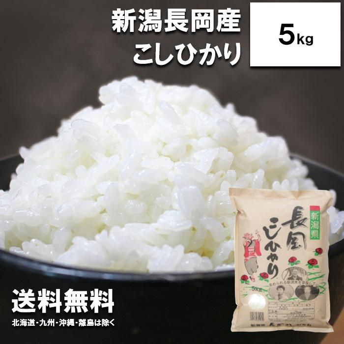 新米　田中米穀　新潟長岡産　こしひかり　5kg　　新潟県産　コシヒカリ　白米　ご飯　令和5年度産