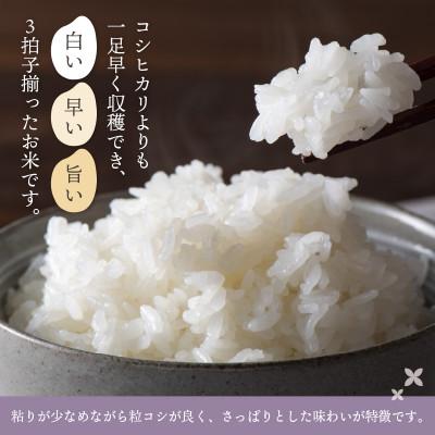 ふるさと納税 越前町 令和5年産　ハナエチゼン(精米)　5kg