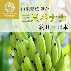 [予約 12月1日-12月20日の納品] 三尺バナナ 山梨県産ほか 約10～12本 冬ギフト お歳暮 御歳暮