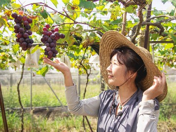 農遊超市 - 彰化 | 奈米休閒農場-葡萄/木瓜 (250元採果通用券(適用全台37家以上農場果園))-單人採果券