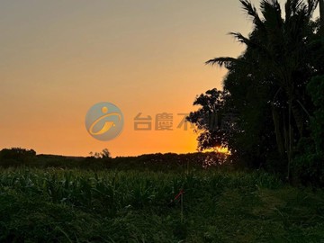 專·嘉義中埔交流道旁・一塊能讓夢生根的土地 ｜嘉義縣中埔鄉王爺段