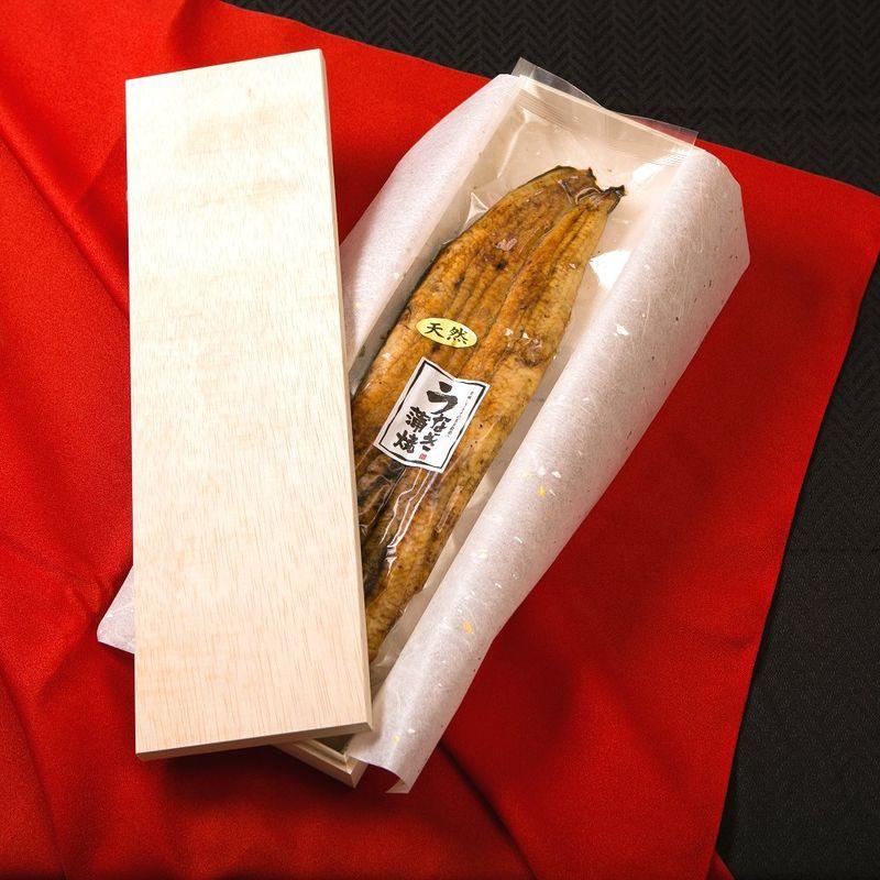 大阪淀川 天然特大うなぎ「割烹焼き」 (蒲焼き, 200ｇ?250ｇ)