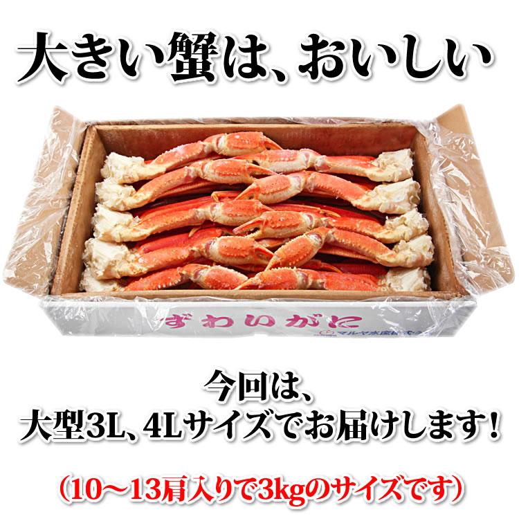 お歳暮 御歳暮 ギフト 2023 カニ かに 蟹 特大 ズワイガニ 脚 3kg (3L・4Lサイズ) 3キロ 海鮮 ボイル 蟹 足 脚 グルメ ギフト 送料無料