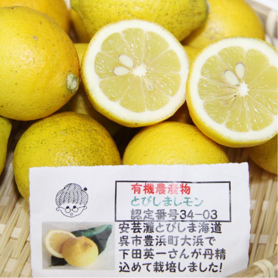 広島産 レモン 大長 有機栽培のレモン 約10kg サイズいろいろ 皮まで食べられます 送料無料 国産レモン 有機JAS認定 広島県大崎下島 下田農園 オーガニック