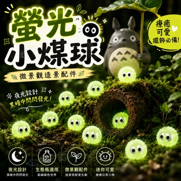 廢物專賣店 螢光小煤球 微景觀小煤球 小黑煤球 苔蘚生態瓶配件 盆栽造景配件 迷你造景擺飾 袖珍模型 微景觀造景