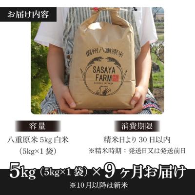 ふるさと納税 東御市 八重原米 精米 5kg (5kg×1袋)