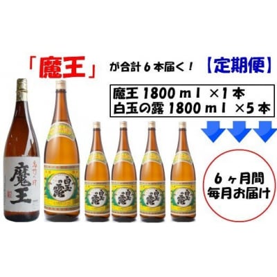 「6ヶ月定期配送」1升瓶×6本1升瓶×30本(TK-006)