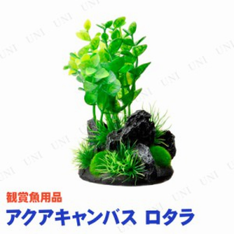 取寄品 ジェックス Gex 癒し水景 アクアキャンバス ロタラ アクアリウム用品 ペット用品 ペットグッズ 水草 水槽用品 水槽用具 通販 Lineポイント最大1 0 Get Lineショッピング