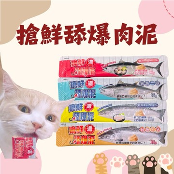 ✨肉泥 搶鮮濃舔爆肉泥15g（鮭魚/鮪魚/干貝/鮑魚）現貨 寵物零食全齢貓/肉泥/貓零食/貓點心/貓肉泥/貓條#CIAO