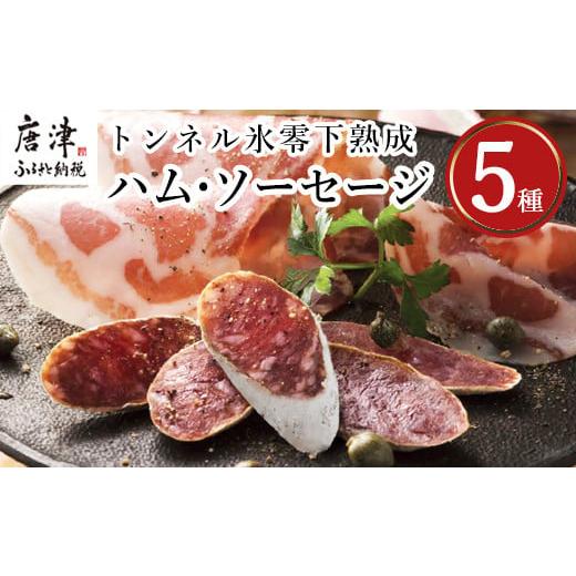 ふるさと納税 佐賀県 唐津市 トンネル氷零下熟成ハム・ソーセージセット　TPC-2 「2023年 令和5年」