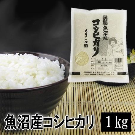 米 1kg 魚沼産コシヒカリ 令和5年産 白米 