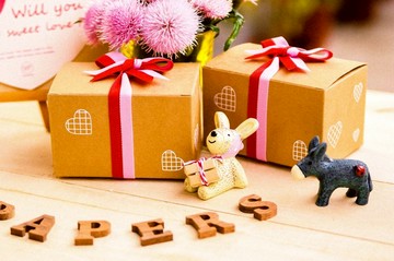 【天天說愛你】  Love Grows愛心種子球植栽盆栽組