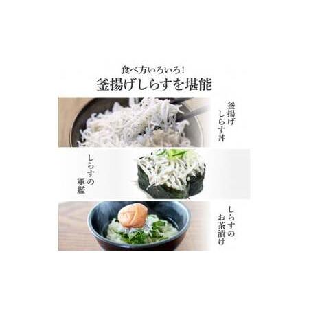 ふるさと納税 《3ヶ月定期便》高知県産釜揚げしらす500g 定期便 定期コース 3回 簡易梱包 シラス 小分け 国産 釜揚げ しらす丼 海鮮丼 お茶漬け .. 高知県芸西村