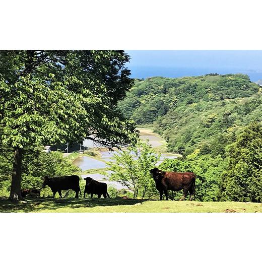 ふるさと納税 京都府 京丹後市 和牛焼肉／赤身の旨味 京たんくろ和牛の焼肉 京丹後市 焼肉 500ｇ（2〜3人前）  焼肉用 肉・赤身 焼肉 セット・和牛焼肉セット…