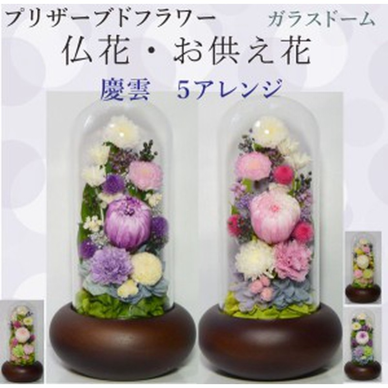 プリザーブドフラワー 仏花 仏壇 お供え 仏壇花 仏壇用 ガラスドーム 胡蝶蘭 初盆 お悔やみ花 お彼岸 法要 法事 お盆 仏壇用 慶雲 通販 Lineポイント最大1 0 Get Lineショッピング