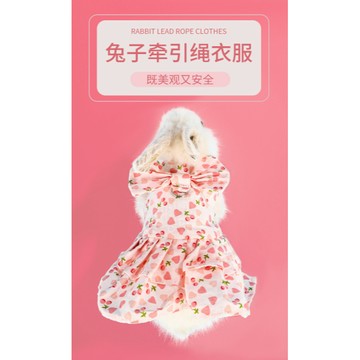 【台灣現貨 新品】兔子衣服 兔兔服裝 荷蘭豬衣服 小寵衣服 兔子牽引繩 垂耳兔 牽引繩 小寵牽引繩 寵物兔外出 牽引帶