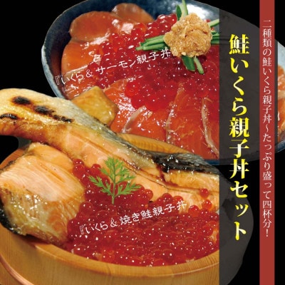 鮭いくら親子丼(いくら醤油漬け、お刺身用ルイベサーモン、甘塩鮭切り身)セット
