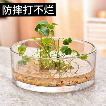 ✨超低價 免運 ✨水培植盆 水培植物花盆透明圓缸水培碗蓮花器花瓶擺件透明缸花盆插花水養荷花神器