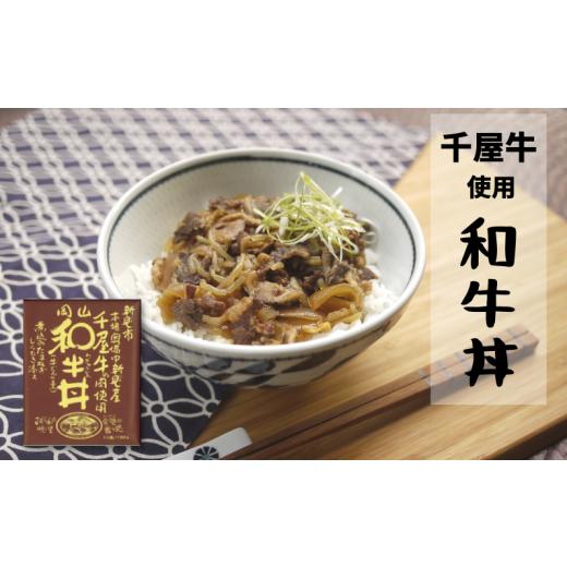 ふるさと納税 岡山県 新見市 千屋牛を使ったレトルト 牛丼・カレー 各4食 2種8食