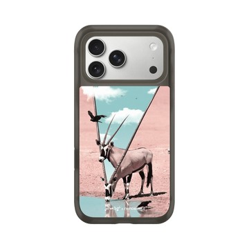 iPhone 17 Pro Max AirX 本質黑 - Julien Tabet - 生命之泉