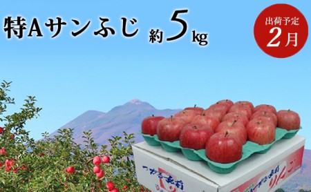 2月発送 特A サンふじ 約5kg 