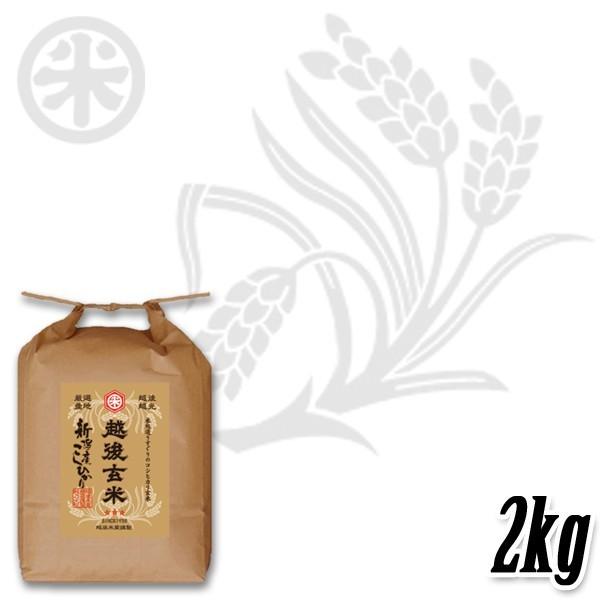 [新米 令和5年産] 玄米 新潟産コシヒカリ 2kg (2kg×1袋) 新潟米 お米 新潟県産 こしひかり 堀商店 送料無料 ギフト対応