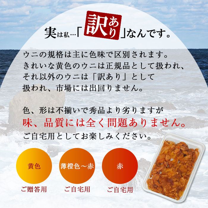 1260. 訳あり うに チリ産 冷凍 鱒 いくら 醤油漬け ウニ100g マスいくら 100g 雲丹 不揃い わけ あり 海鮮 丼 刺身  魚卵 送料無料 北海道 弟子屈町