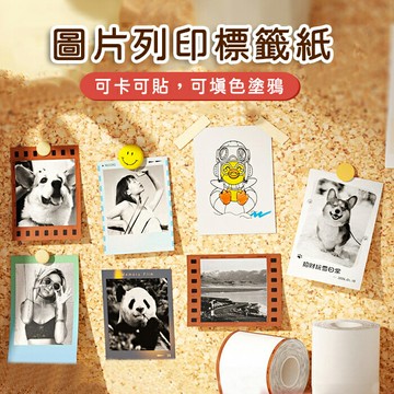 B21_Pro專用標籤紙-相片紙