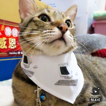 腿庫力量寵物領巾-懷舊電腦 台灣製 台灣原創設計 寵物小孩親子裝