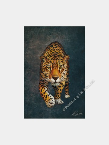 豹的巡禮/1008片/麥克‧卡特