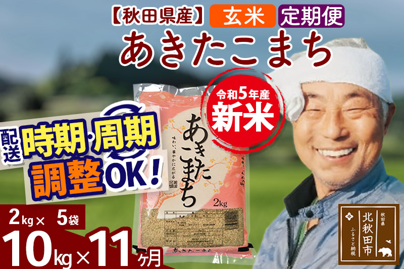 《定期便11ヶ月》＜新米＞秋田県産 あきたこまち 10kg(2kg小分け袋) 令和5年産 配送時期選べる 隔月お届けOK お米 おおもり|oomr-20611