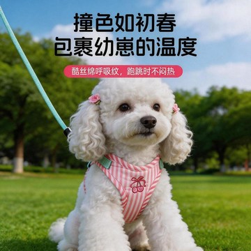💕在臺出貨🔥狗狗牽引繩寵物外出遛狗繩子卡通圓繩中小型犬繩狗背心式繩子貓鏈