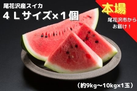 先行予約 スイカ すいか 尾花沢産スイカ 4Lサイズ 約9kg×1玉 7月下旬～8月中旬頃発送 尾花沢 スイカ すいか 令和6年産 2024年産 観光物産 kb-su4xx1