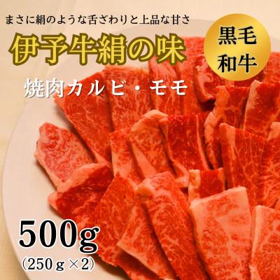 ふるさと納税 西条市 伊予牛絹の味　焼肉用カルビ・モモ500g(250g×2)