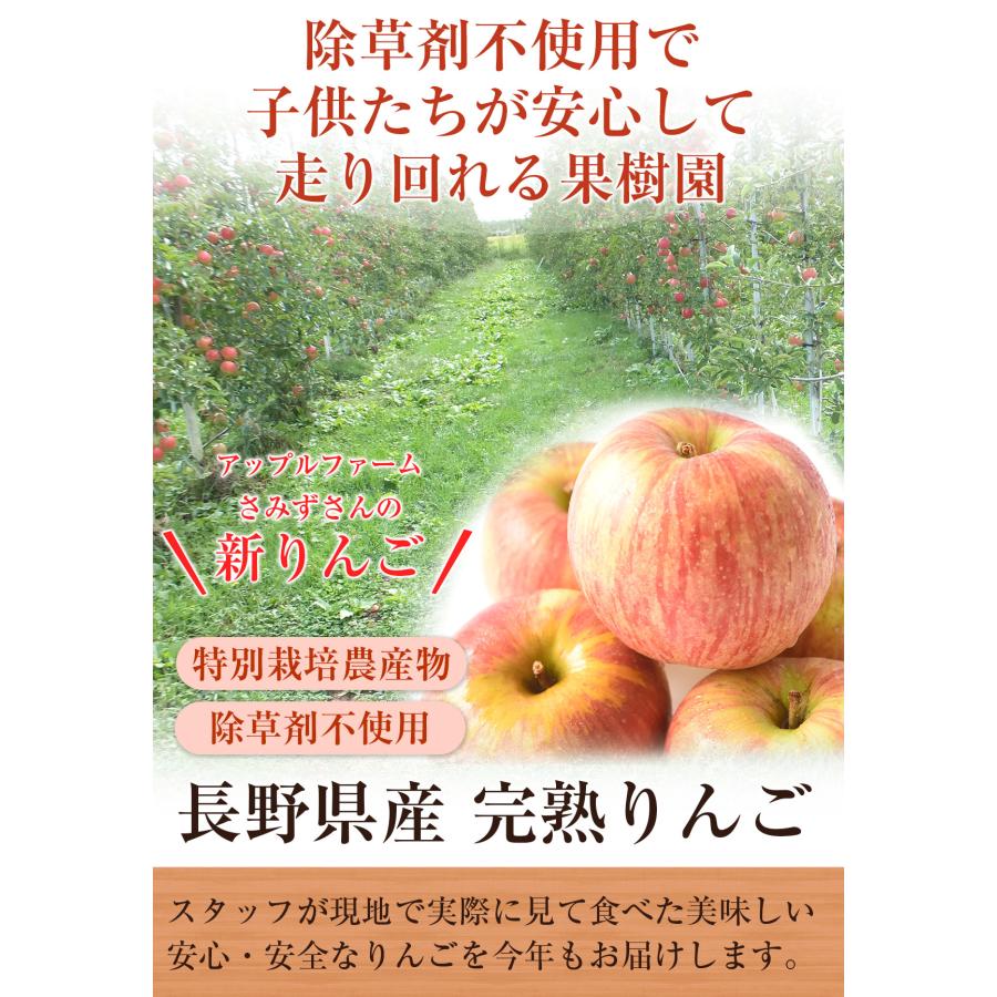 長野県産 りんご 樹上完熟りんご 3kg 特別栽培農産物 減農薬 蜜入り 訳あり ジュース用 ご家庭用 にんじんジュースにも最適