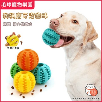 【台灣現貨】狗玩具 幼犬磨牙 寵物玩具球 狗狗玩具 超耐咬漏食球 仿生磨牙潔齒紋理 食品級液態硅膠抗撕裂 益智訓練玩具