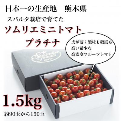 ふるさと納税 玉名市 高濃度フルーツトマト「ソムリエミニトマト　プラチナ1.5kg」