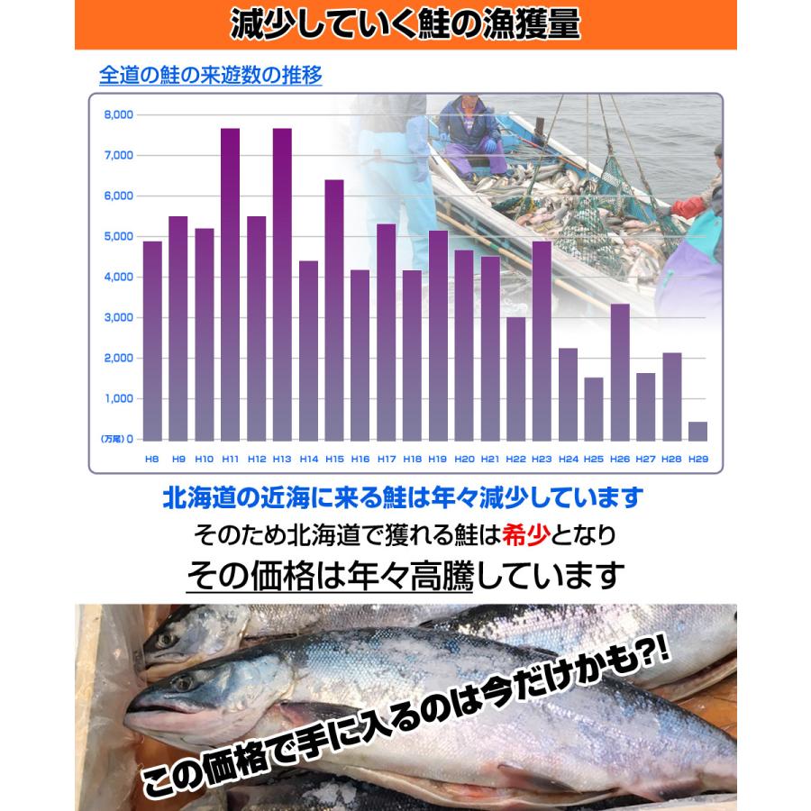 塩漬け 新巻鮭 北海道産 10kg6尾 塩鮭 塩引き鮭 鮭 秋鮭 しゃけ サケ さけ 産地直送 1本 水産仕入れ 年末年始 お正月 お歳暮